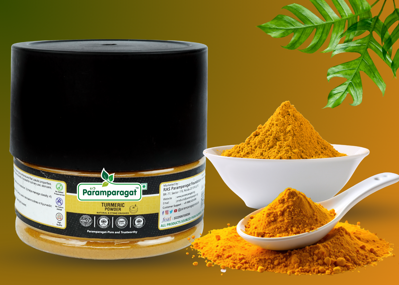 Top 5 Ayurvedic Herbs for Daily Health