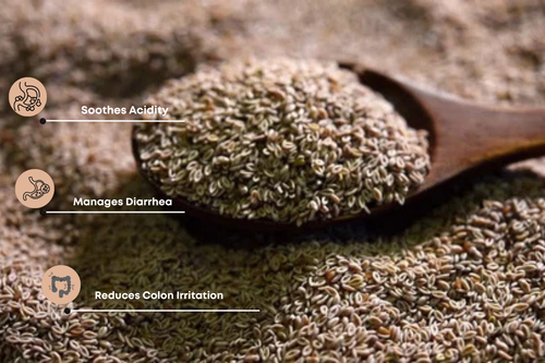 Isabgol Seed