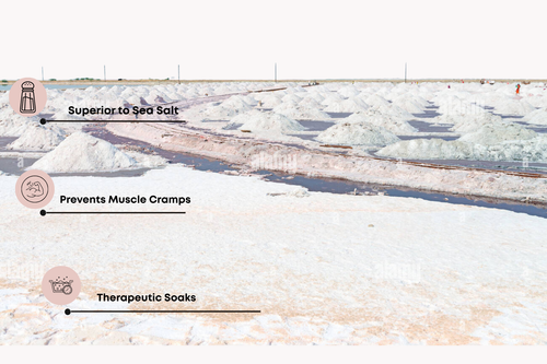 Lake Salt (Sambhar lake)